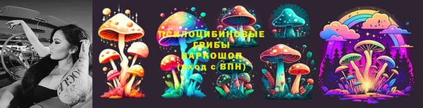 шишки Мегион