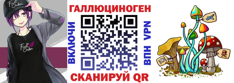 Псилоцибиновые грибы мицелий  маркетплейс наркотические препараты  Карабаш 